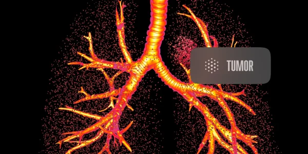 64afdcd343d8612d39bfdd0c_Medical